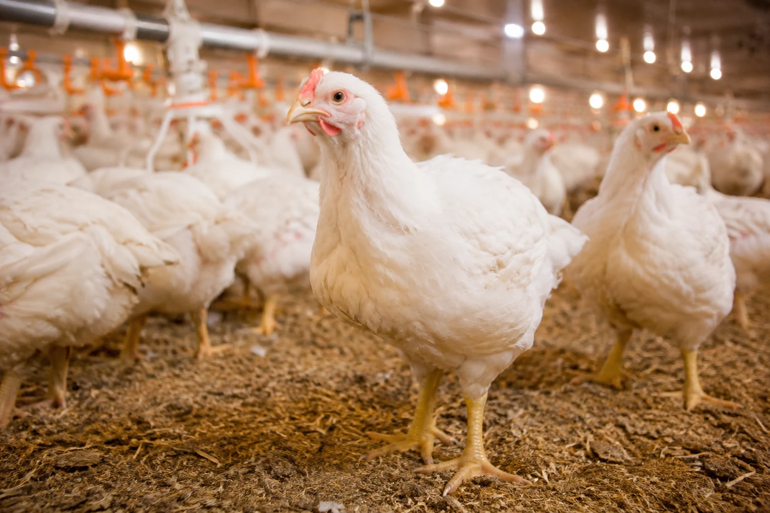 Farm & Production Equipment application